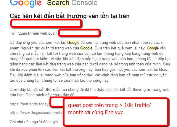 google phạt tác vụ thủ công trang web