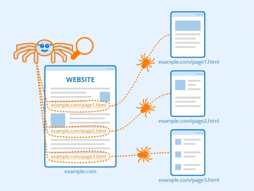 Bots crawl website