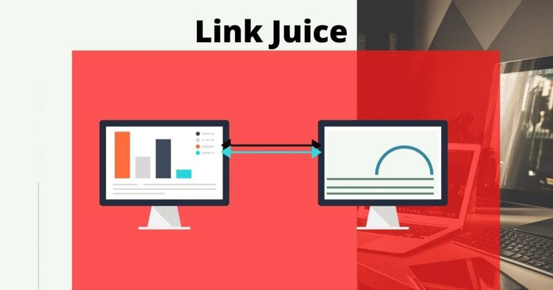 link juice là gì