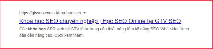 meta description cho khóa học SEO mastermind của GTV