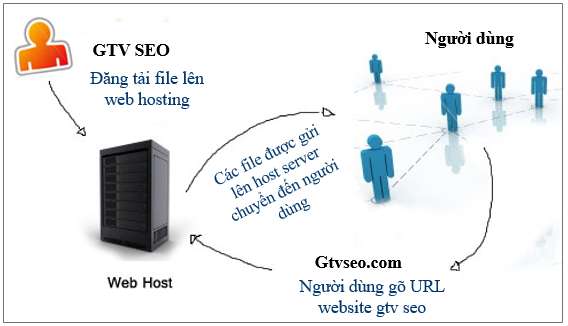 domain là gì hosting là gì